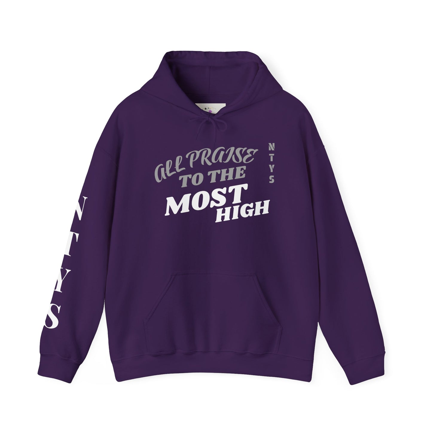 NTYS Hoodie - "All Praise to the Most High"