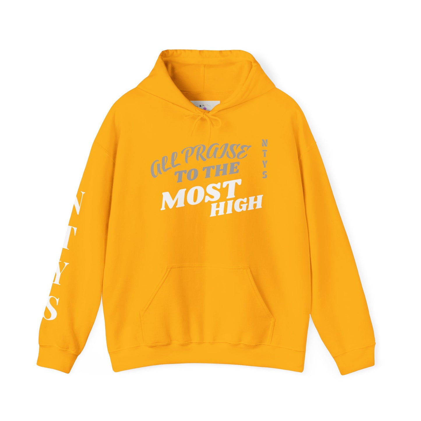 NTYS Hoodie - "All Praise to the Most High"