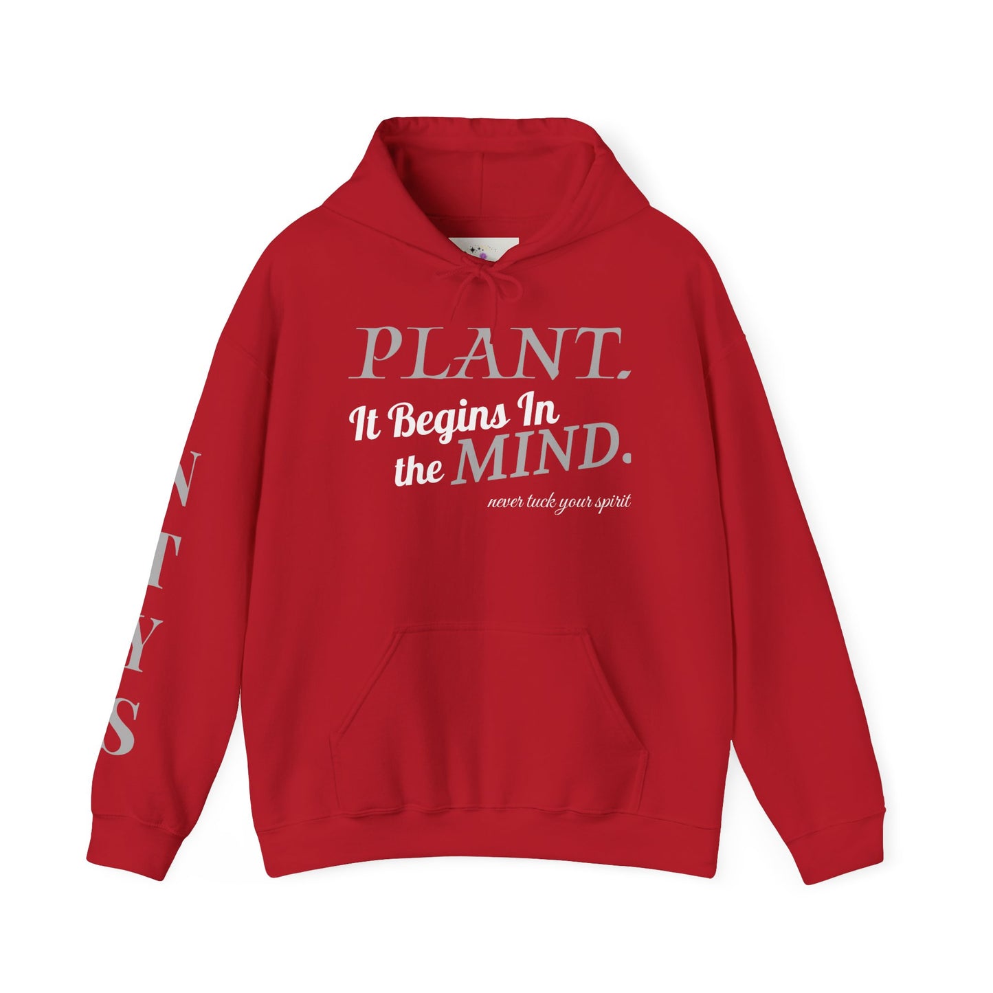NTYS Hoodie - "It Begins In the Mind."