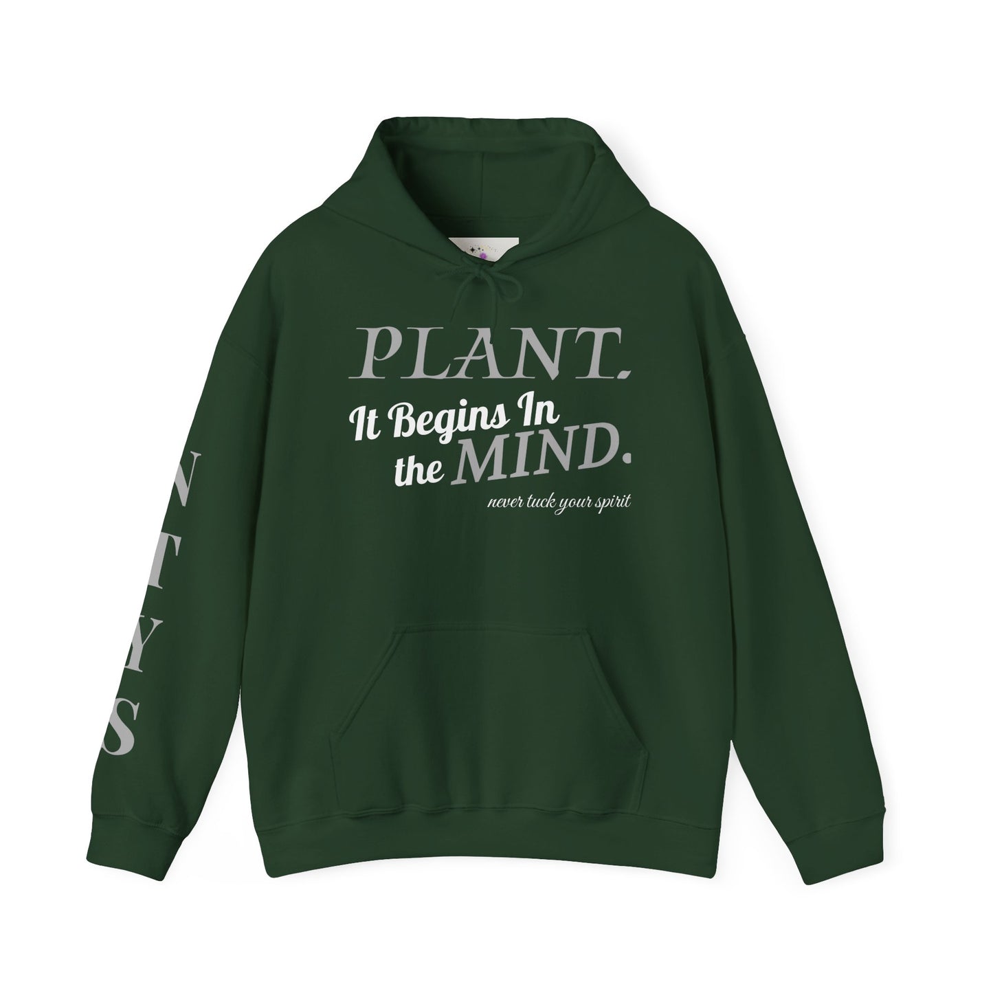 NTYS Hoodie - "It Begins In the Mind."