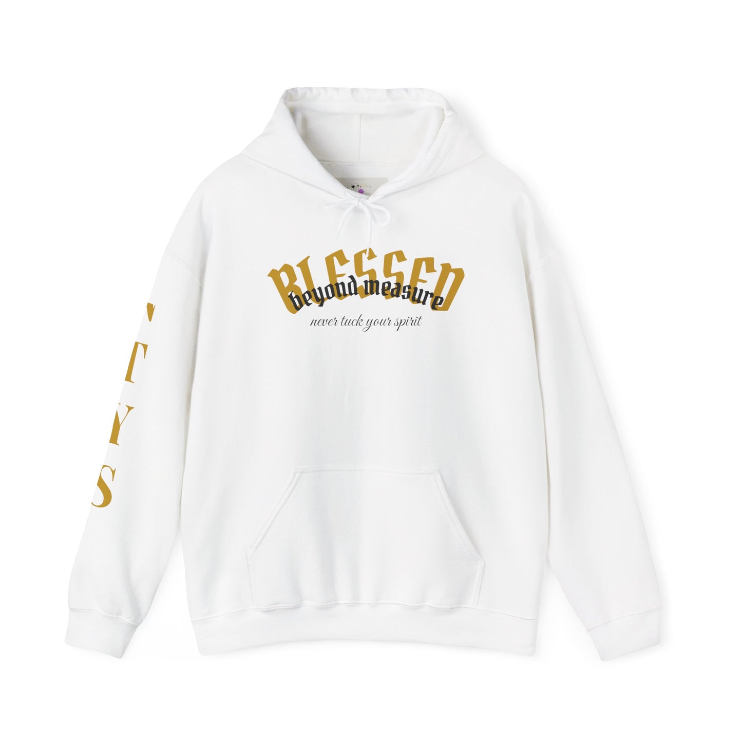 NTYS Hoodie - "Blessed Beyond Measure"