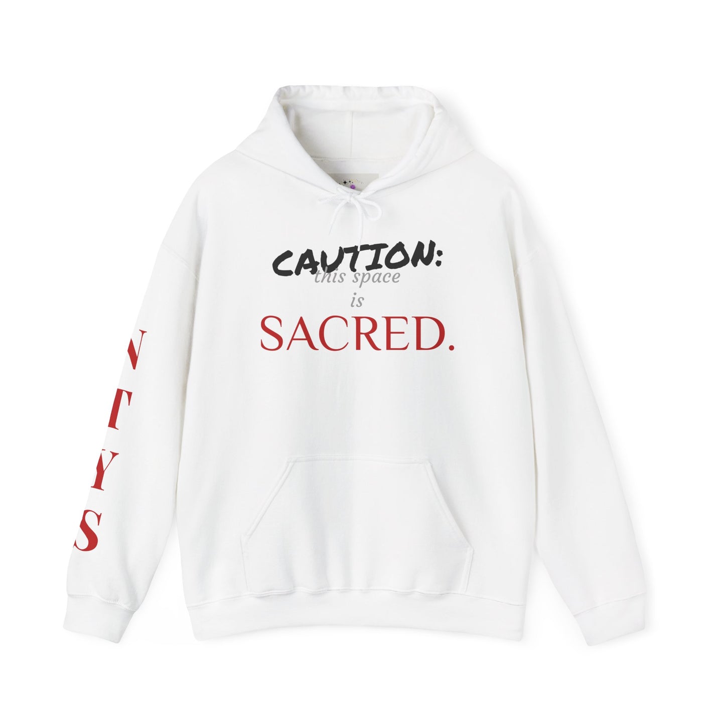 NTYS Hoodie - "Sacred Space"