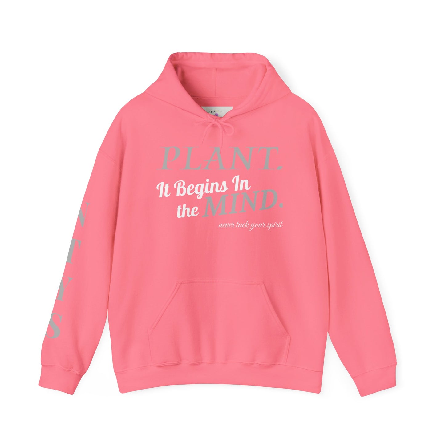 NTYS Hoodie - "It Begins In the Mind."