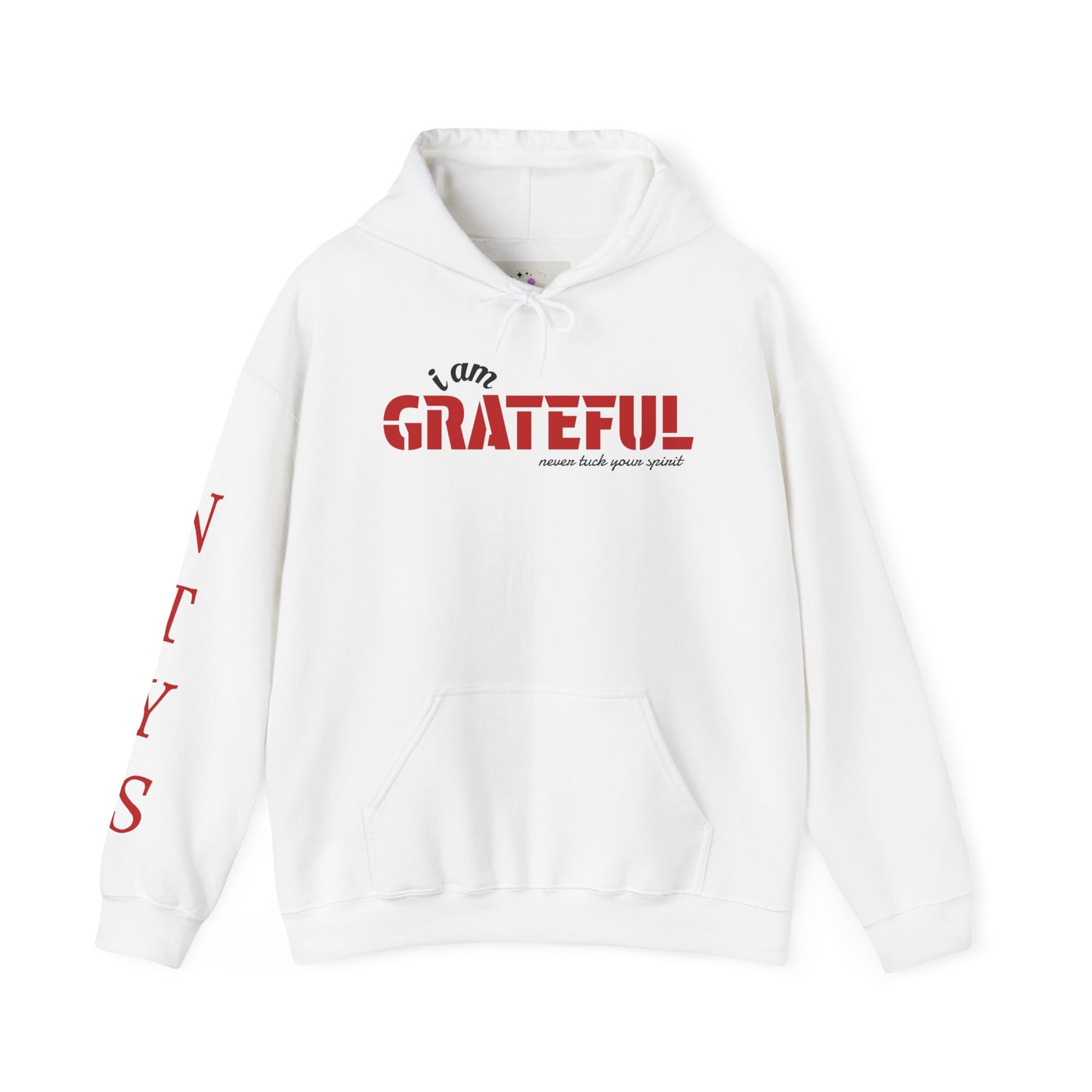NTYS Hoodie - "I Am Grateful"
