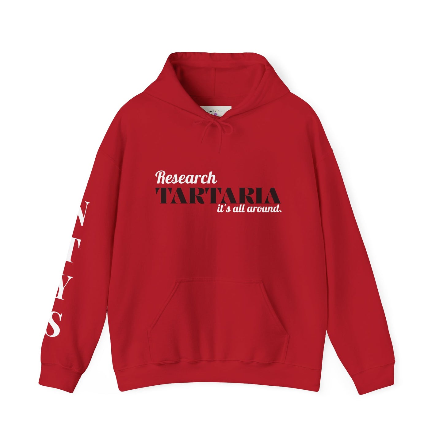 NTYS Hoodie - "Research Tartaria"