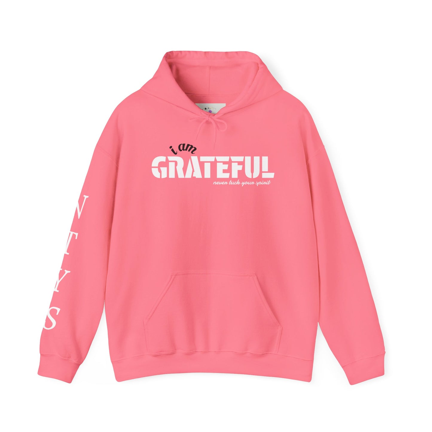 NTYS Hoodie - "I Am Grateful"