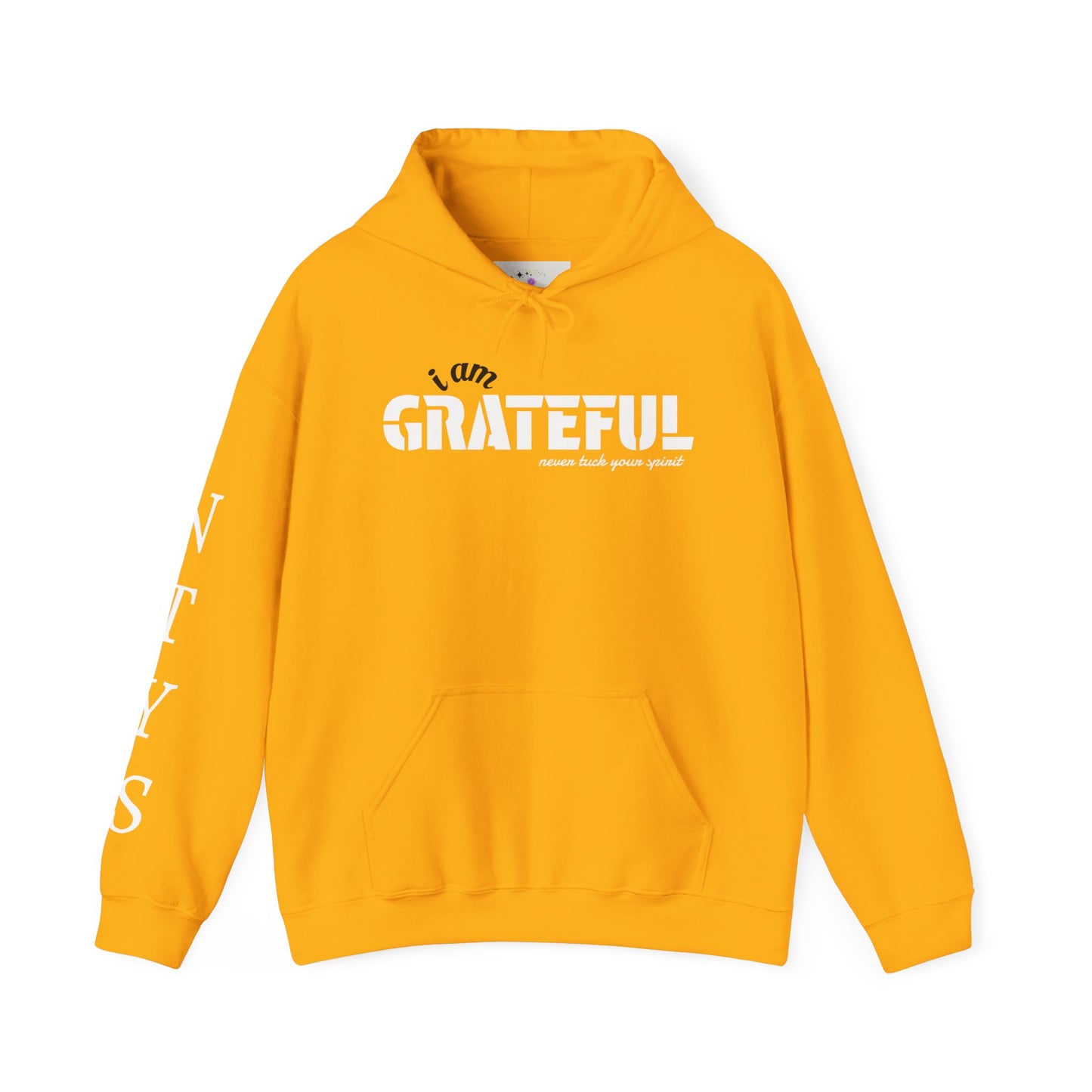 NTYS Hoodie - "I Am Grateful"