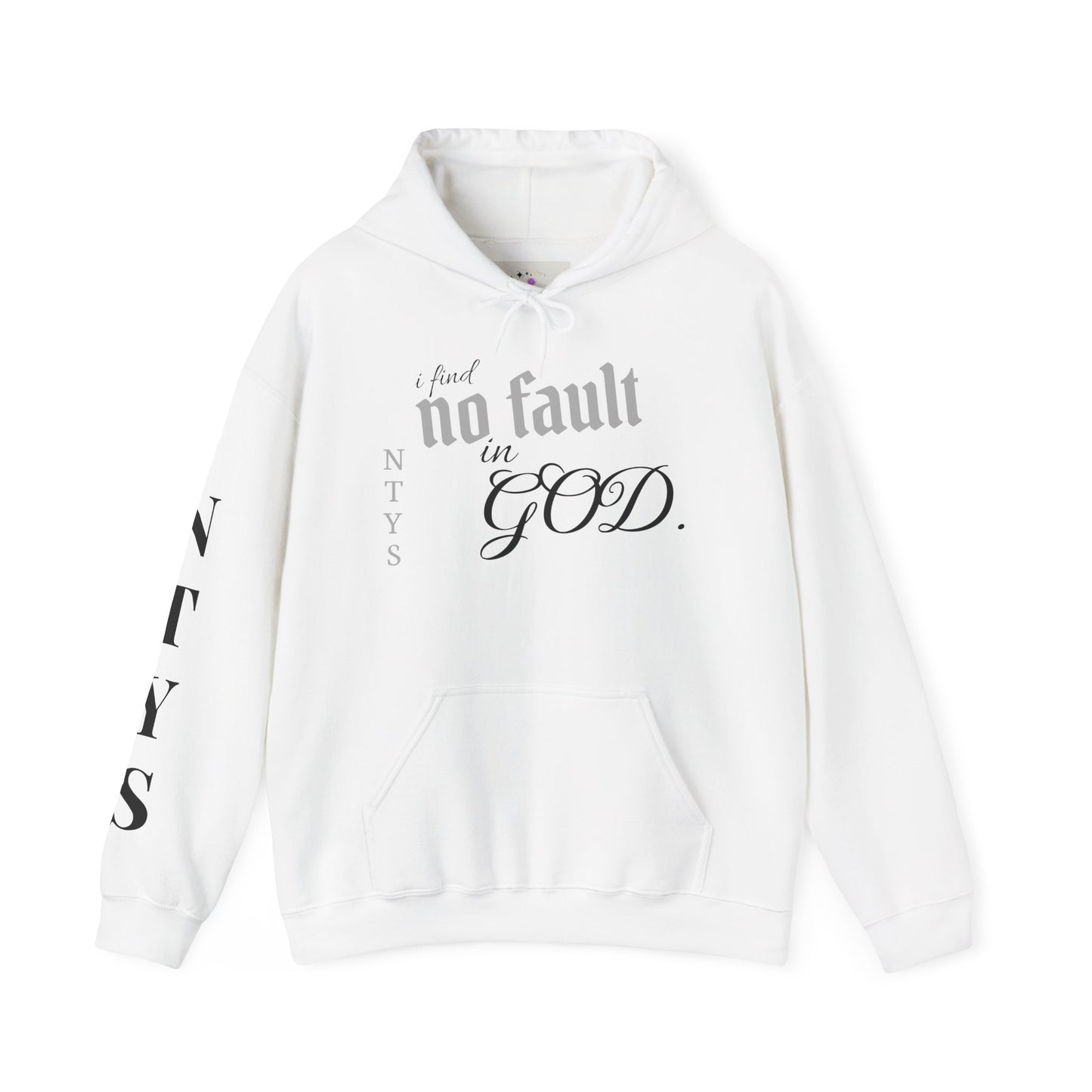 NTYS Hoodie - "I Find No Fault in God"