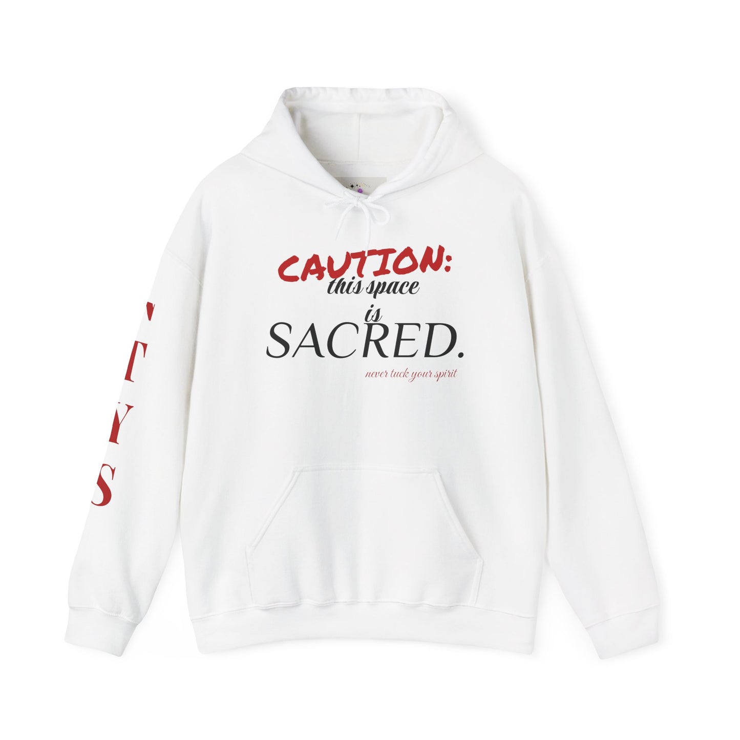 NTYS Hoodie - "Sacred Space"