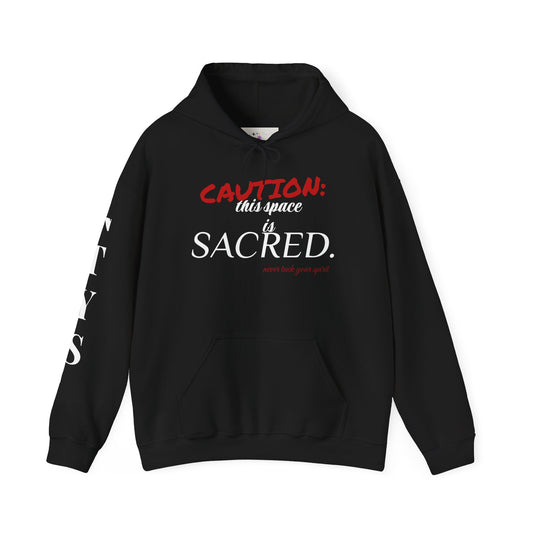 NTYS Hoodie - "Sacred Space"