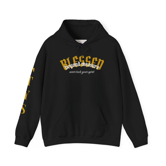 NTYS Hoodie - "Blessed Beyond Measure"