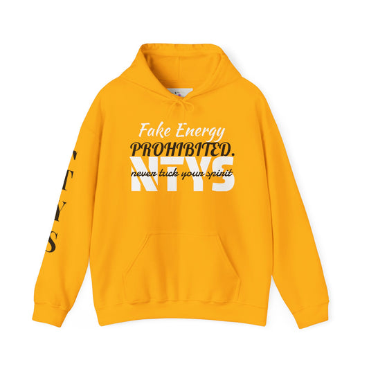 NTYS Hoodie - "Fake Energy PROHIBITED."