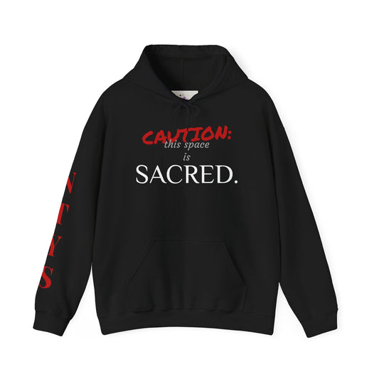 NTYS Hoodie - "Sacred Space"