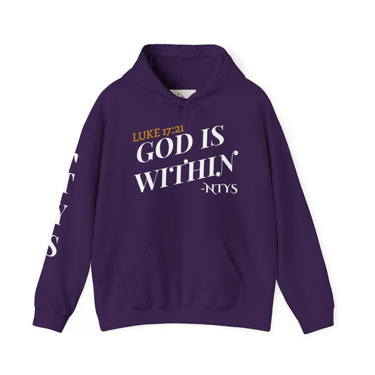 NTYS Hoodie - "God is Within"