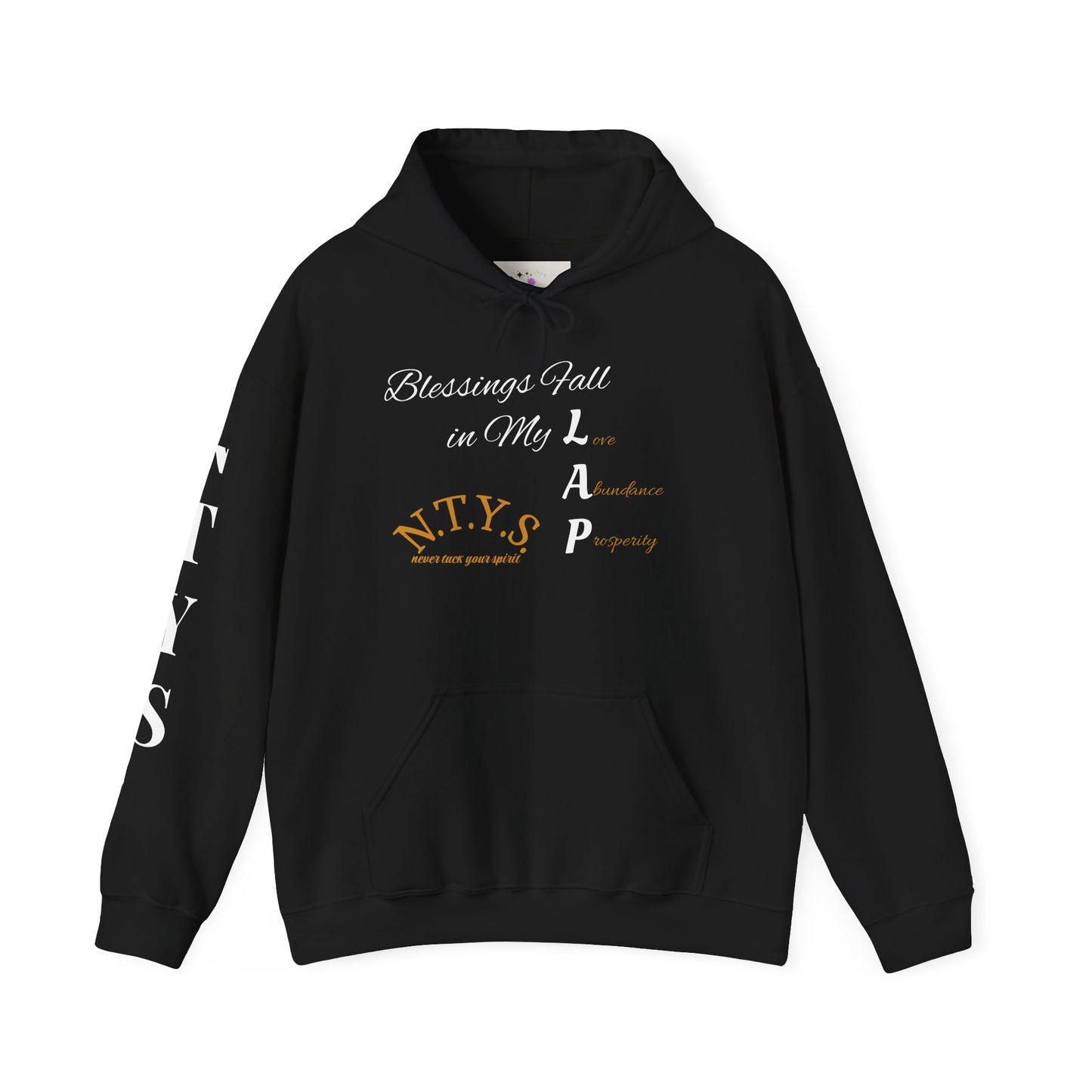 NTYS Hoodie - "Blessings Fall in My LAP"