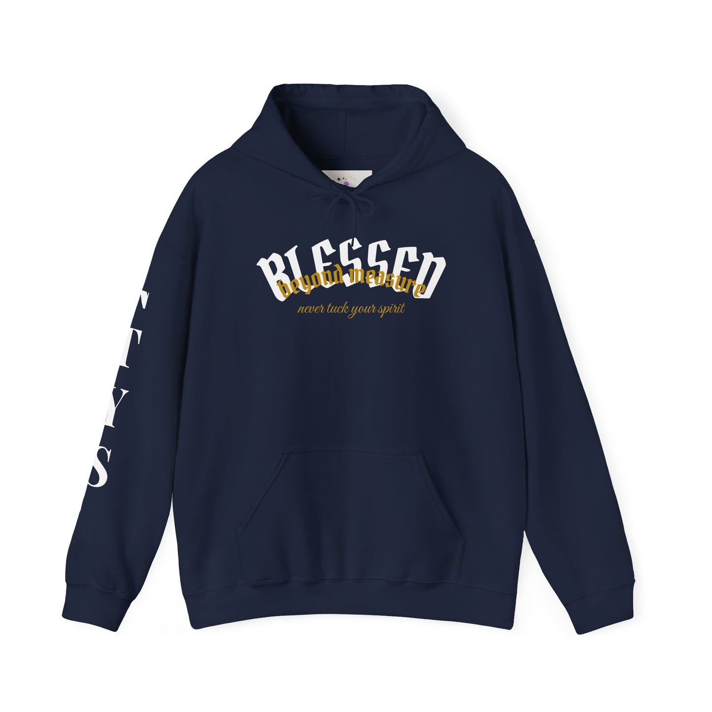 NTYS Hoodie - "Blessed Beyond Measure"