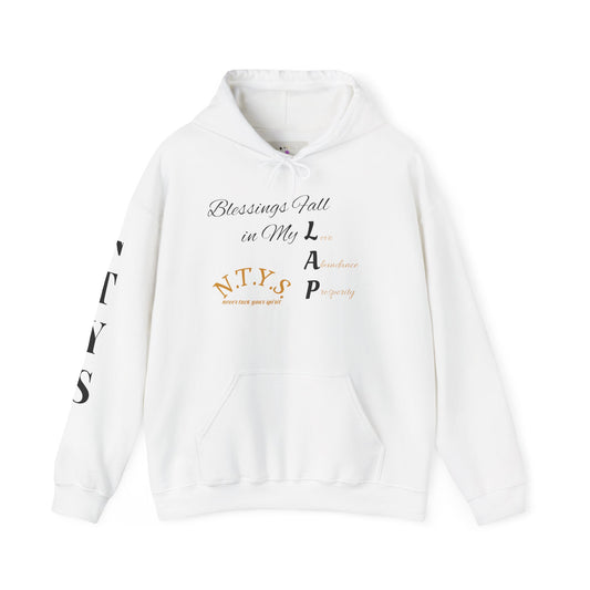 NTYS Hoodie - "Blessings Fall in My LAP"